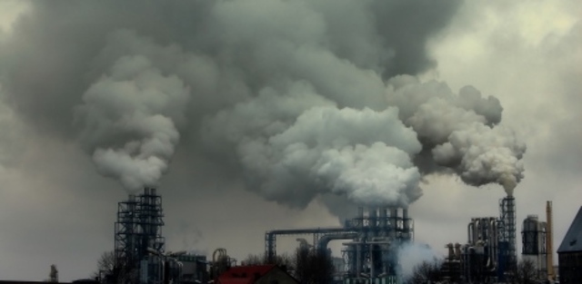 Environmental Damage