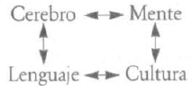 La Humanidad de la Humanidad