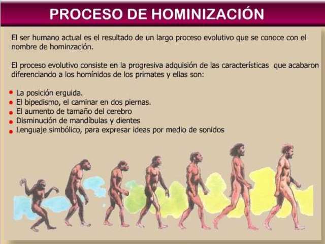 Hominizacion