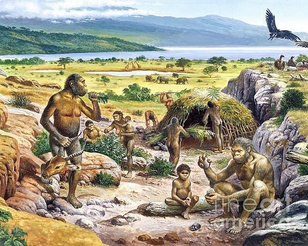 Quaternary 1.8- Present