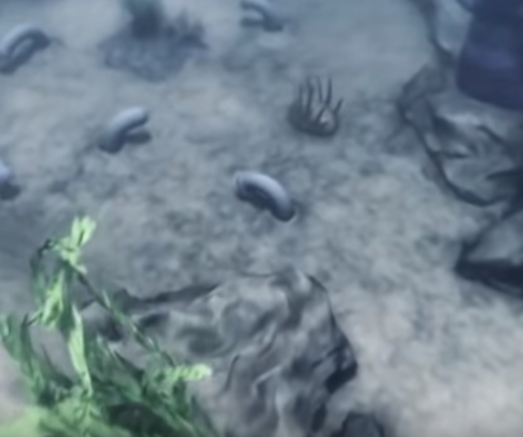 nuevas plantas y animales complejos