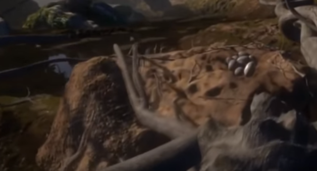 crece la vegetación en tierra firme y aparecen animales terrestres.