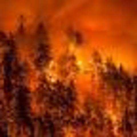 Deadly Wildfires in Australia