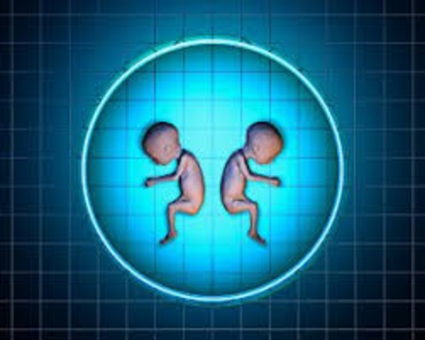 Embriones humanos clonados