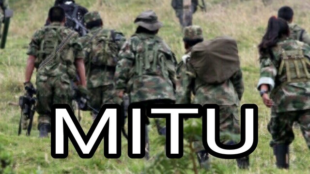 Attack in Mitú, Vaupés