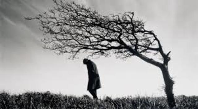 Publicación del libro “el origen de las especies” por Darwin