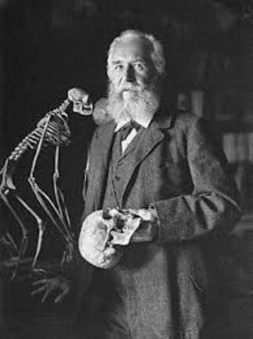 Nace Ernst Haeckel en Potsdam, Alemania