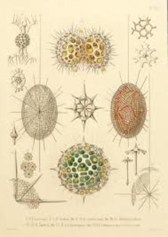 Ernst Haeckel publica primer libro