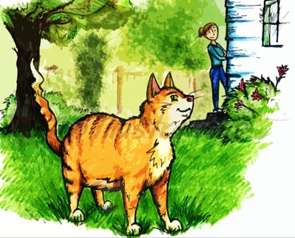 Περιβαλλοντικό πρόγραμμα