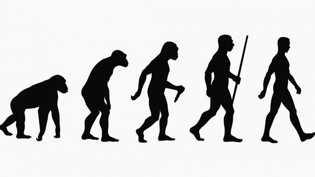 Comienzo de la evolución
