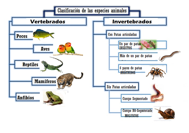 Georges Louis Leclerc