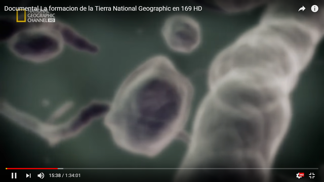 Primeras formas de vida