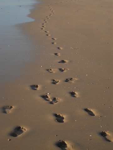 Encuentra una huella de pie descalzo, tribu caníbal, donde encuentra cadáveres humanos y después de eso vigila la costa todos los días.