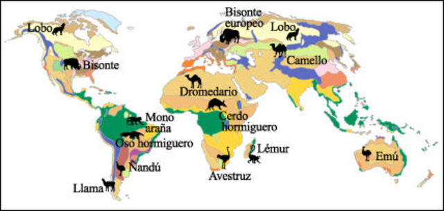 Diversos puntos de origen