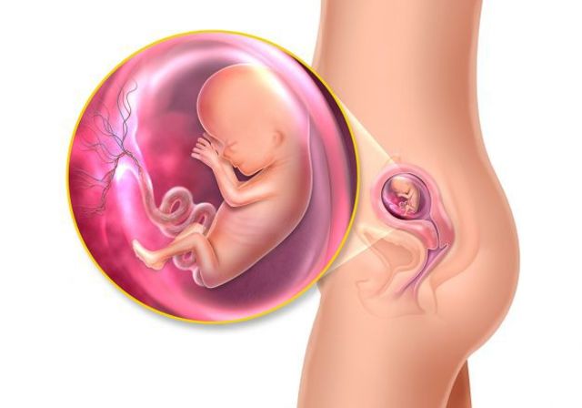 DECIMOTERCERA SEMANA