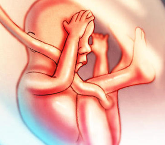 VIGESIMATERCERA SEMANA