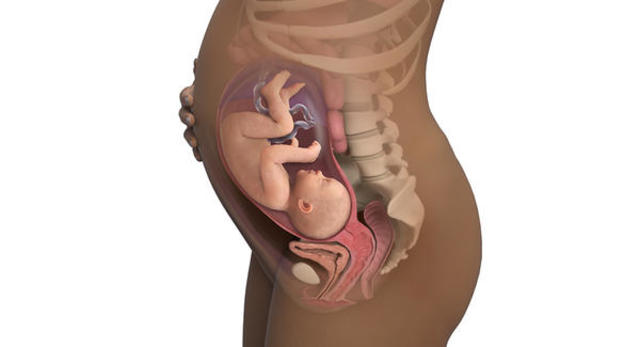 TRIGÉSIMA TERCERA SEMANA