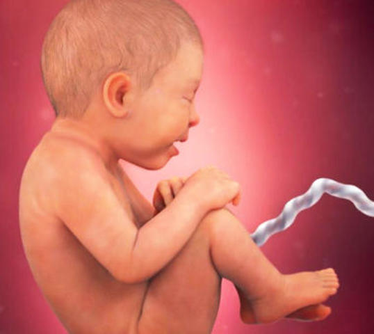 Trigésima sexta semana