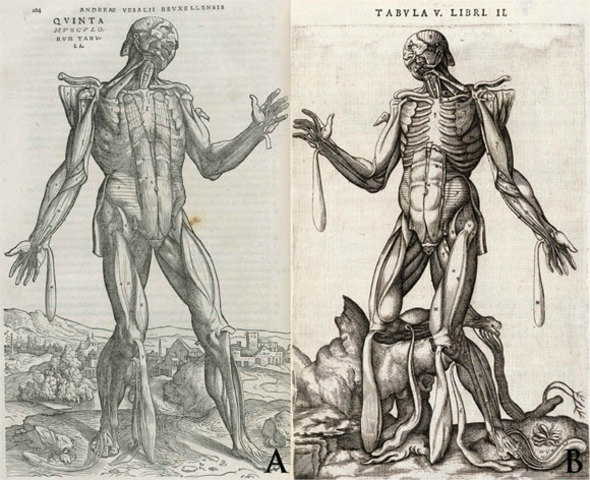 Renacimiento / Edad Moderna