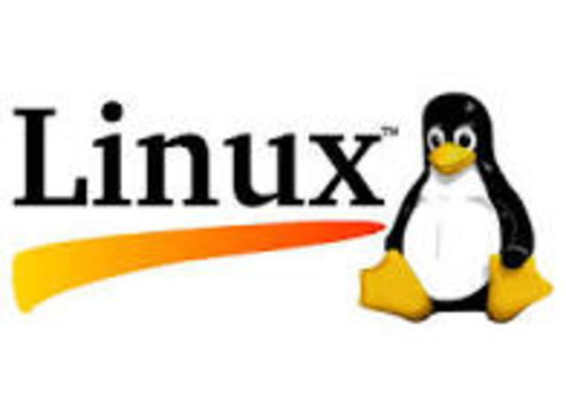 Linux hits the market
