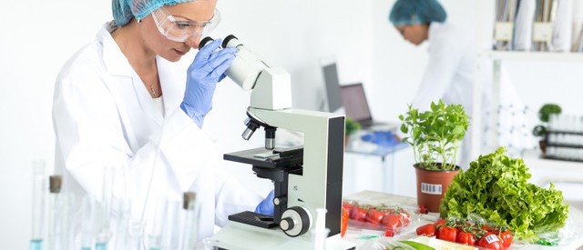 Ingeniería Agroindustrial.