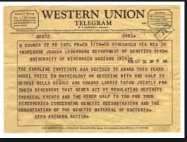 Zimmerman note intercepted