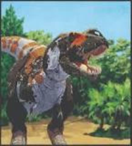 cretaceous period 145-65 MYA