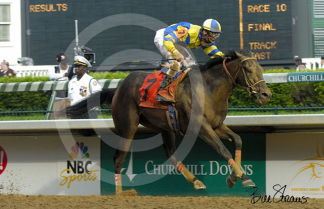 Street Scene Wins Kentucky Derby