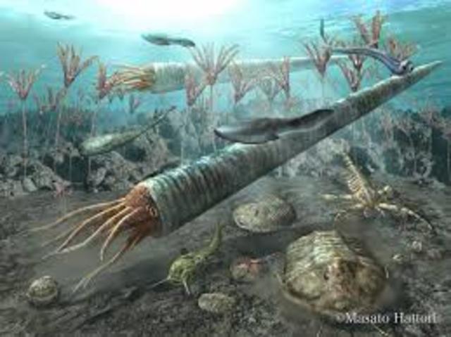Ordovician 500-435 MYA