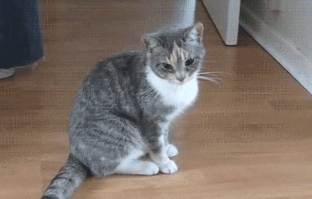 me finding out about going back to Ct.