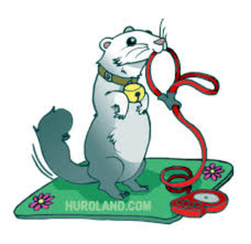 Años 30's a los 50´s