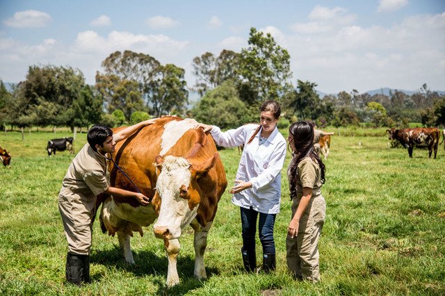 UNIPAZ-Facultad de Medicina Veterinaria y Zootecnia
