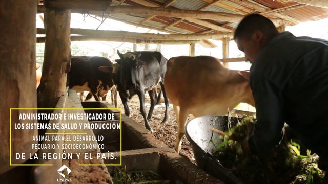 primer programa academico