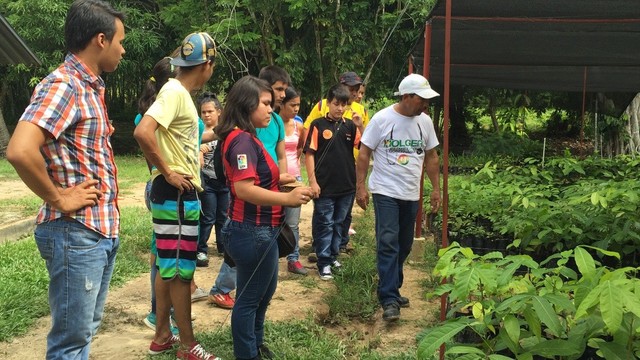 apertura ingeniería agronomica y agoindustrial