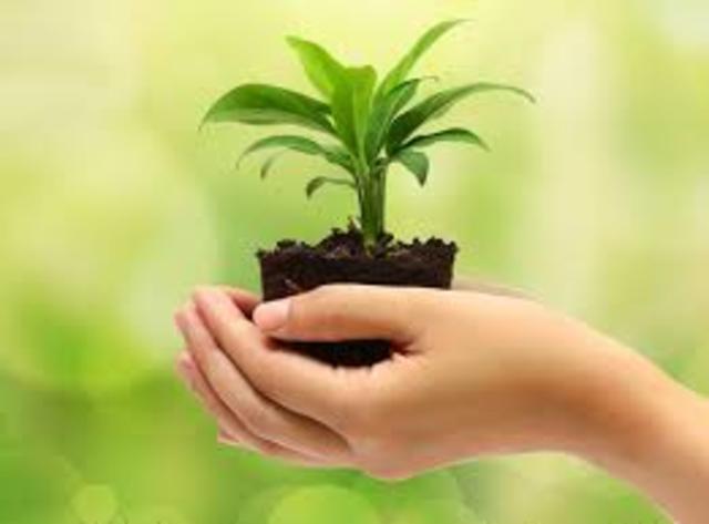 apertura de ingenieria ambiental