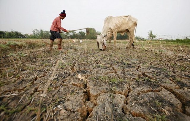 Decreto 1974 de 1989.