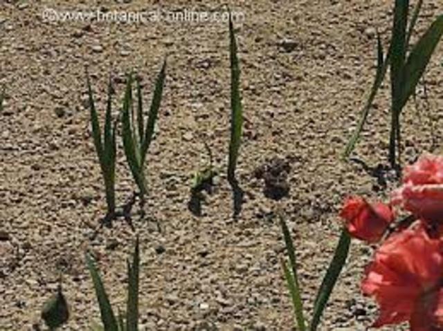 LEY 99 se crea el Ministerio del Medio Ambiente, se reordena el Sector Público encargado de la gestión y conservación del medio ambiente y los recursos naturales renovables, se organiza el Sistema Nacional Ambiental, SINA y se dictan otras disposiciones