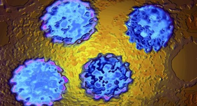 Estudios de epidemiología de las prácticas sexuales y el riesgo de transmisión del virus