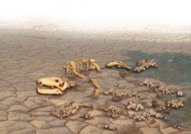 EXTINCIÓN DE LA VIDA