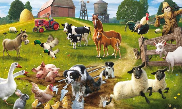 Living with the animals