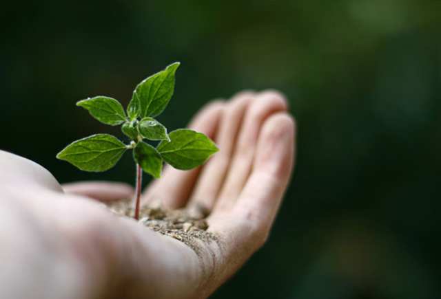 Política para la gestión sostenible del suelo. Bogotá, D.C.: Colombia. Ministerio de Ambiente y Desarrollo Sostenible