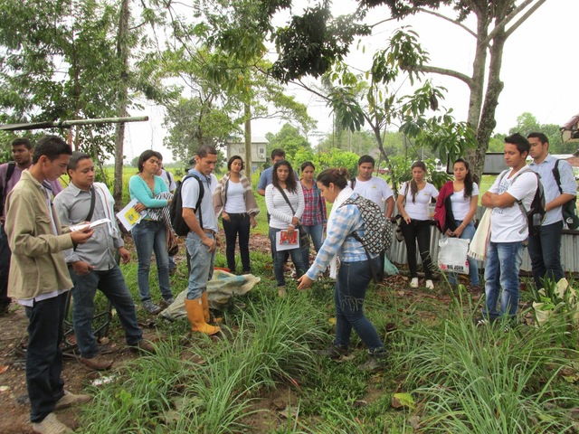 Ingenieria Agronomica...