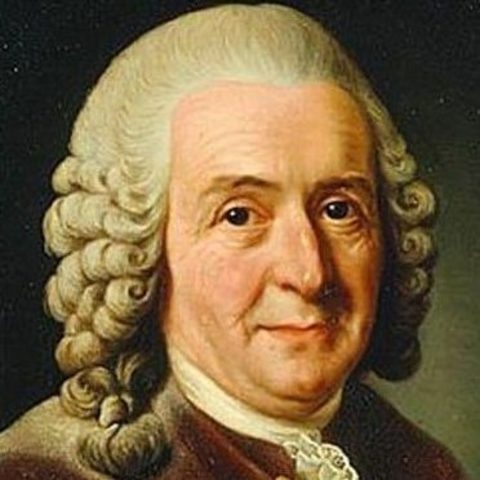 Carl Linnaeus