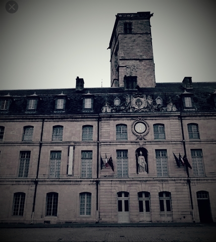 Comienzan los estudios de Georges Louis Leclerc.