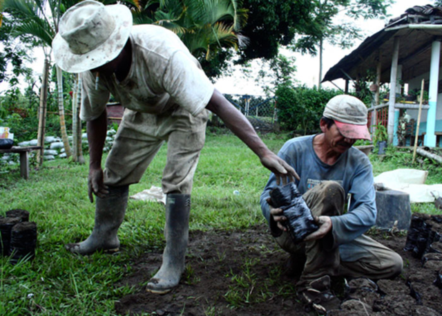 Ley 902- Reforma Rural Integral