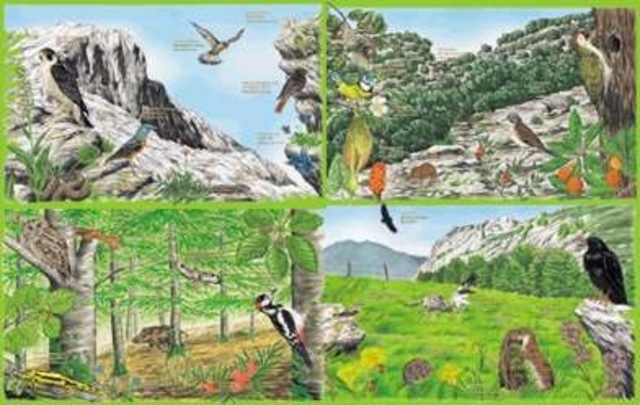 Adaptación al medio