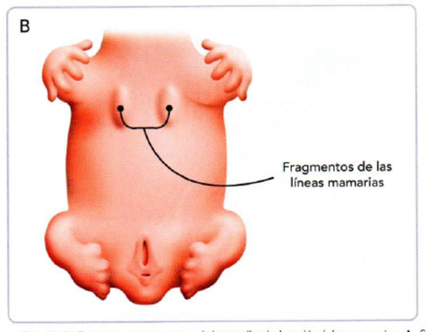 FINAL DE LA SEXTA SEMANA