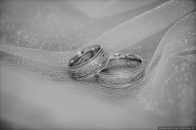 Georges-Louis Leclerc de Buffon contrae matrimonio.