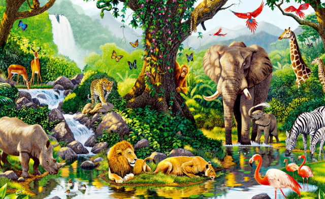 Georges-Louis Leclerc de Buffon intenta clasificar a las especies.