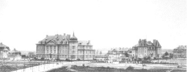 Colecciones zoológicas de Berlín